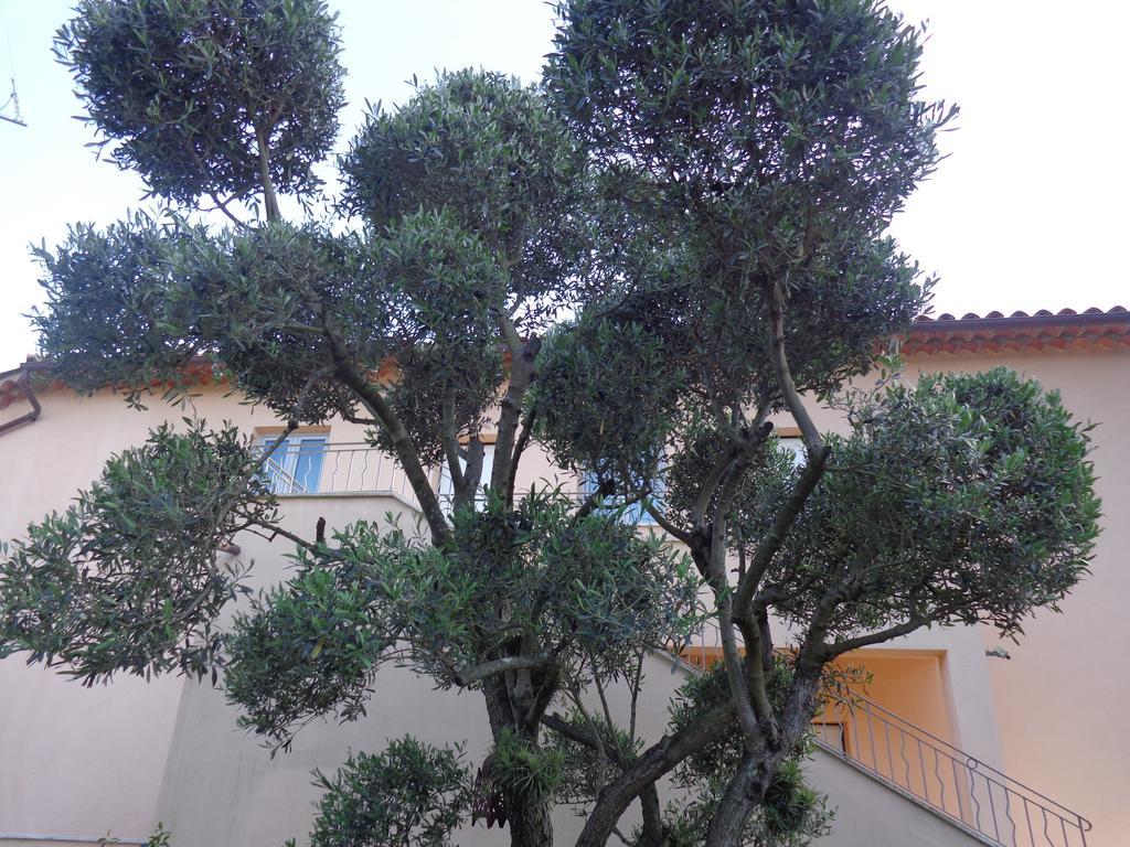 Appartement Villa Angelina Grimaud Exteriér fotografie